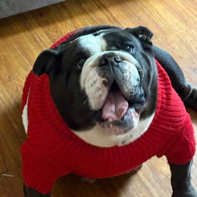 fatdawg1976's profile picture. I love the KC CHIEFS, Impact Wrestling,AEW, IMPACT, NJPW, WWE, Indy, and all things Bulldogs.