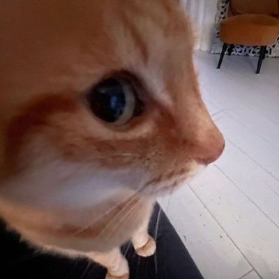 AngelicVibeBaby's profile picture. Apenas uma priv