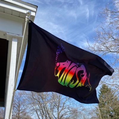 stonethrower315's profile picture. ⭕️🎸phish and golf is life ⛳️