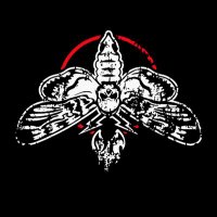 ΛƬIQ⭕️〽️ (@at03iq) 's Twitter Profile