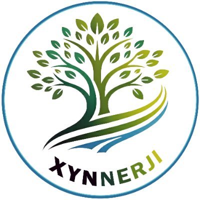 xynnerji's profile picture. Xynnerji's story begins with the struggles of living with sickle cell disease, a condition that affects millions of people worldwide.