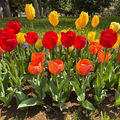 Ayamay9010F's profile picture. 