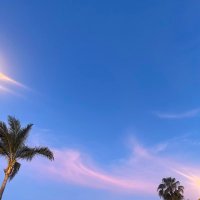 andy chung (@andyhchung) 's Twitter Profile