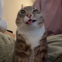 Seafly (@seafly_1) 's Twitter Profile