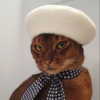 chenlepecel's profile picture. 