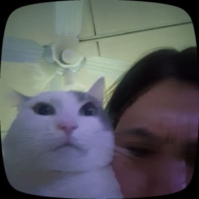Lour Profile