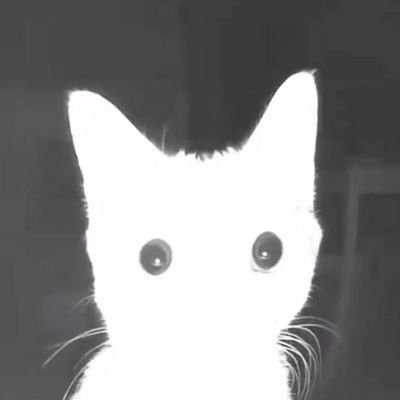 CvlMe's profile picture. 