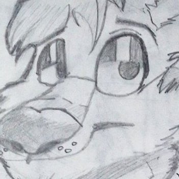 He/She | Furry 🐺 | 🇲🇽 | 20 | Artist 🖍️| ENG-SPAN | Dm Friendly ❤️❤️ | I'm a big coyote 🌟| No Minors..| 🔞 AD Account @yummycakedog