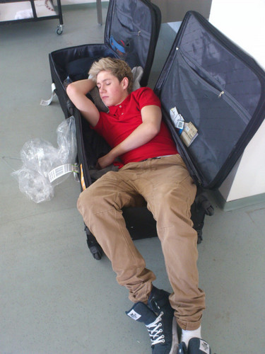 #Male #Directioner here! I love Louis and Niall and think they should get more, and no i am not gay. ^_^ Follow me 100% follow back..