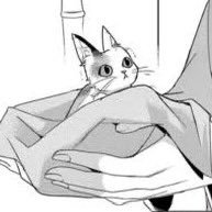 korehadokudesu's profile picture. これは毒てす☠️