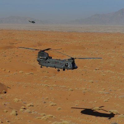 PeterGi08603862's profile picture. 