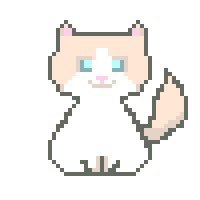 ラグドール♂ちくわ。2021.10.28🎂2022.3.12🏠短い耳がチャームポイント。猫と人間ふたり暮らし。無言フォロー失礼します🙇♀️YouTube等の宣伝DMはご遠慮ください