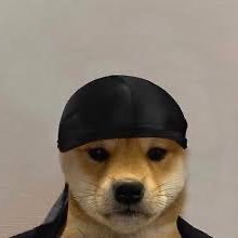 duragdogg's profile picture. @Room8tes