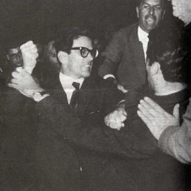 Electrón libre socialista. 🏳️🌈⚣