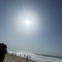 Prada (@prada8282498151) 's Twitter Profile