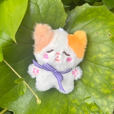 _mikro_kosmo_s_'s profile picture. ぬいぐるみ共同購入垢♡International shipping is available. plz DM💌
