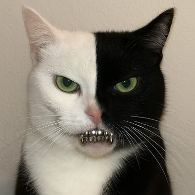 grrrr!