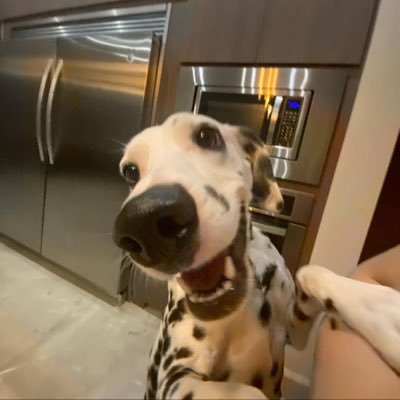 ilsesalazaar's profile picture. amo el café y la tapioca