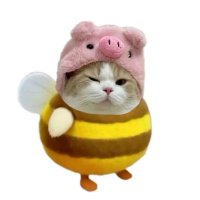 vaajaa✨ (@kerduscoksu) 's Twitter Profile Photo