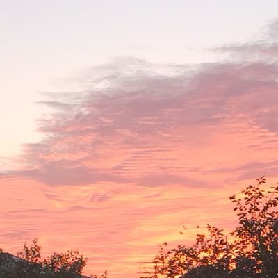 ゆきのく() (@yukin0ku1) / Posts / X