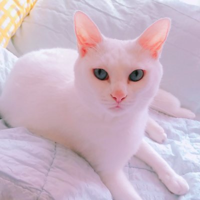 DOTORIさんのプロフィール画像