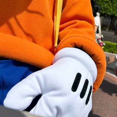 kaomuraisu_'s profile picture. disney goofy💚 top4 🎮 Kapsel toy 🧸🤖旦那のコレクションも交換に出させていただいてます
