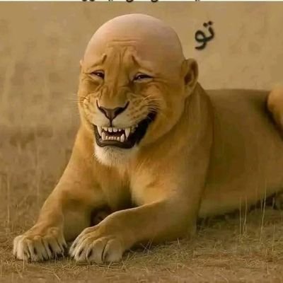 BHqdwst4472's profile picture. 