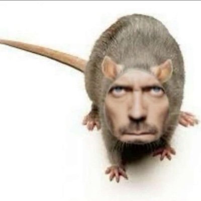 poopsleep12556's profile picture. 