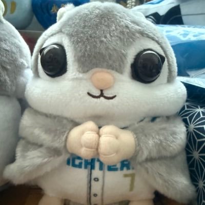 FIGHTERS_go_7's profile picture. 札幌在住。週末だいたいエスコンフィールド在住。北海道日本ハムファイターズ。松本剛。お気軽にフォローどうぞ！