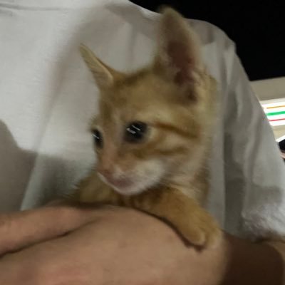 przu_zz's profile picture. 