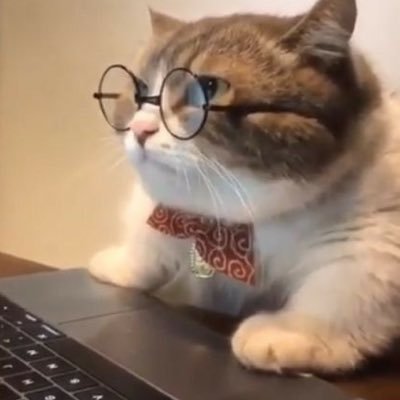 13hdtcdgm_ Profile Picture