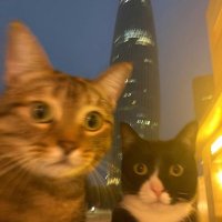 SaaS ラボ | SaaS経営者のための無料知見共有コミュニティ (@saaslab2025) 's Twitter Profile