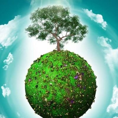 SPrajapati770's profile picture. from india