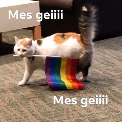 alejandritomik1's profile picture. Siganme...