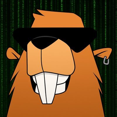 BoberCTO Profile