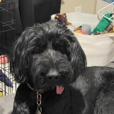Victorman7777's profile picture. 