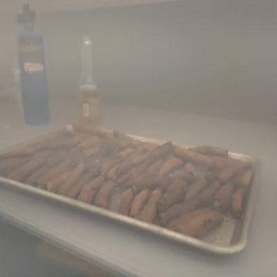 bankfloods's profile picture. 18