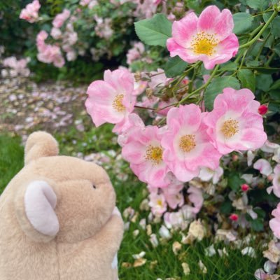 yuh_s125's profile picture. designer