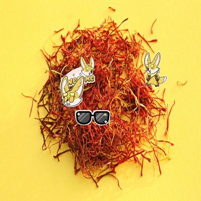 AmyMiller13821's profile picture. Sahara #0317637