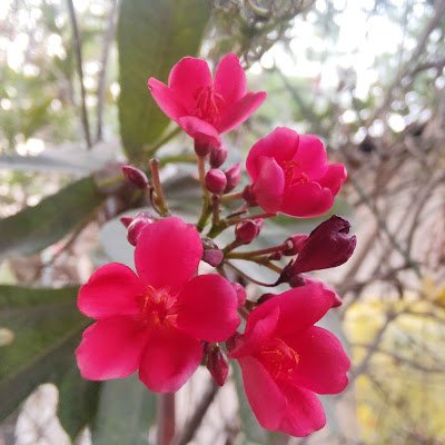 DennySonkusale's profile picture. 