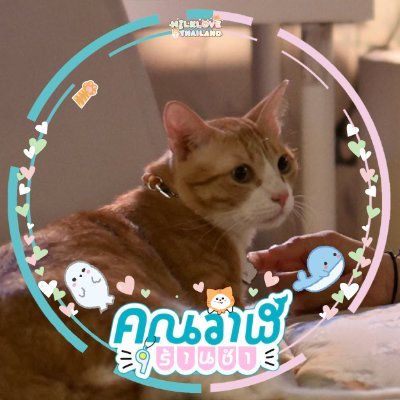 promptluv's profile picture. #MilkLove #EmiBonnie #NamtanFilm | Thai GL Lover