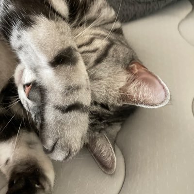 One_eye_KAIWAI's profile picture. クソ雑魚もやしアナボリック