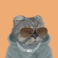 Vanessa Morri (@vanessamor20x) 's Twitter Profile Photo