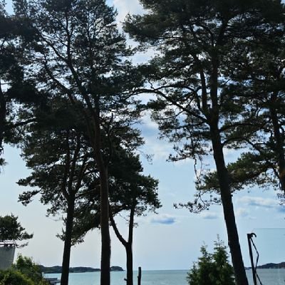 lpskeie's profile picture. #rekruttering #executivesearch #psychmetrics