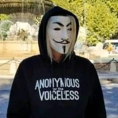 pro_hacker53433's profile picture. 