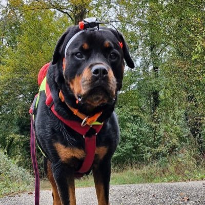 laura_fib's profile picture. Come to my place if you dare... asshol