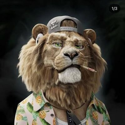 Jayjayshill's profile picture. Memer || Just that one ticker for the Lambo💰💎.