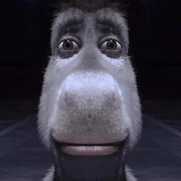 SillyPorcupine's profile picture. ok