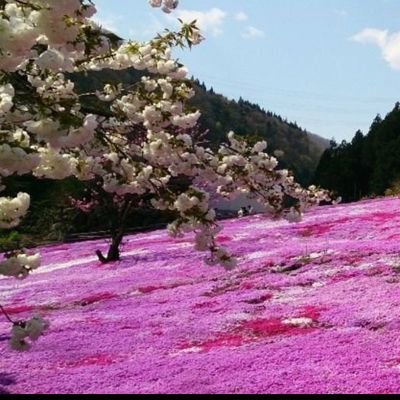 kei_den9118's profile picture. 雑多垢🇰🇷