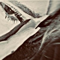 MILO (@sjdjwheh) 's Twitter Profile